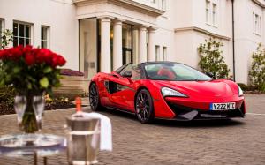 2018 McLaren 570S Spider Valentine